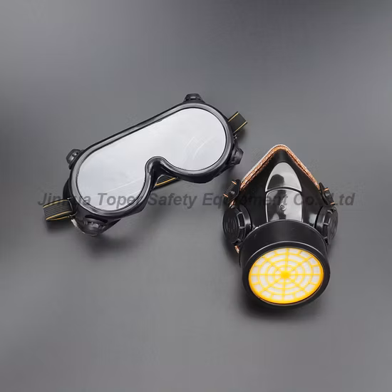 Group Set Double Safety Goggle Cartridge Chemical Respirator (CR308)